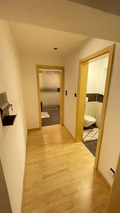 Shine Apartment Schwarzenfeld ألمانيا